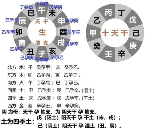 甲乙丙丁戊己庚辛壬癸|天干地支五行对照表